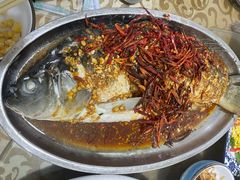 -向民炒鸡老店(火车站店)