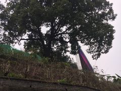 -泸州老窖景区