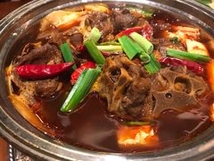 -嘉定凯悦·咖啡厅