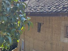 -南靖田螺坑土楼群景区