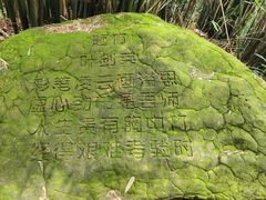 -缙云山景区