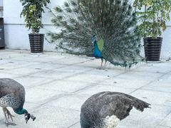 -西昌邛海宾馆