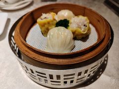-南海渔村(珠江新城店)