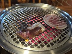 -火烈鸟