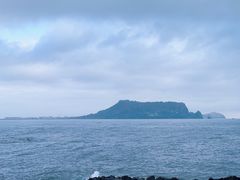 -涉地可支