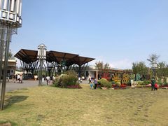 -上海长兴岛郊野公园