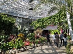 -北京植物园-展览温室