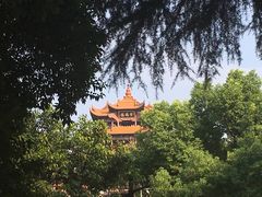 -蔡林记(户部巷店)