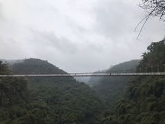 -川西竹海景区