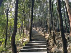 -火炉山森林公园