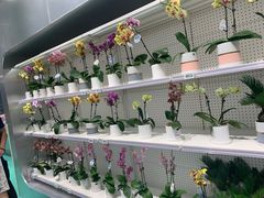 -盒马X会员店(上海森兰商都店)