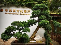 -中国茶叶博物馆(双峰馆区)