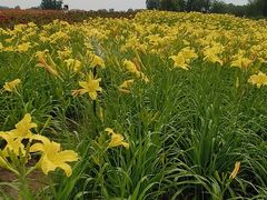 -汉长安城未央宫国家考古遗址公园