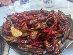 -蘑统田下·野生菌火锅