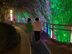 -苏州河梦清园环保主题公园