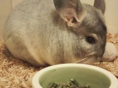 -龙猫仔乐园(惠福东路店)