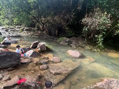 -广州白江湖森林公园