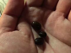 -VOYAGE COFFEE(北锣鼓巷店)