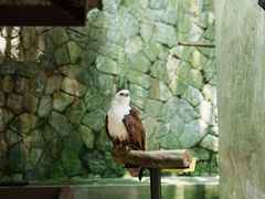 -吉隆坡雀鸟公园