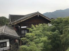 -大唐贡茶院