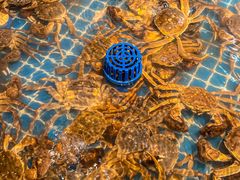 -争先鲜·蒸汽海鲜自助·鲜切牛肉