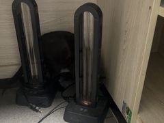 -半岛宠物医院24小时(科华中路店)