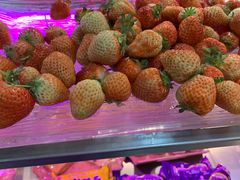 -春华海鲜城(广场西苑店)