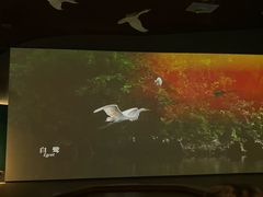 -中国湿地博物馆