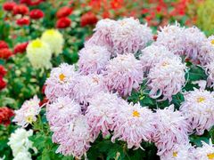 -汇龙潭