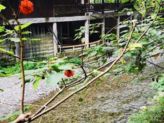 -阿依河景区