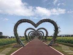 -迪茵湖田家舍生态农场
