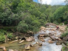 -广州白江湖森林公园