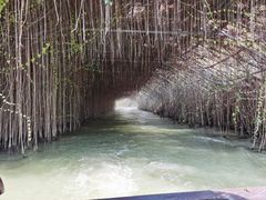 -江门古劳水乡旅游区