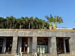 -日落吧·海景咖啡厅·餐酒吧·鸡尾酒·下午茶·乐队表演·浪漫夕阳·三亚文华东方酒店