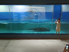 -重庆欢乐海底世界