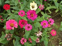 -艾溪湖湿地公园