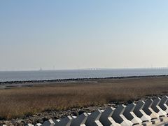 -南汇嘴观海公园