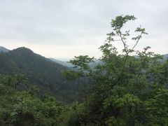 -木兰云雾山