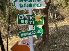 -白佛山景区
