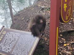 -峨眉山风景名胜区