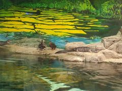 -上海海洋水族馆