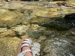 -牛背梁国家森林公园