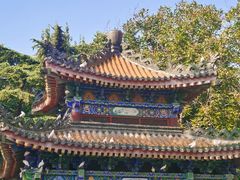 -西安大兴善寺