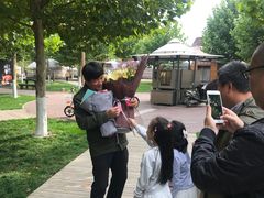 -九十九顶毡房(阜石路店)