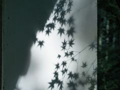 -西湖风景区十里琅珰-五云山