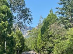 -禅宗少林·音乐大典