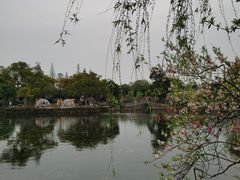 -无锡蠡湖国家湿地公园-蠡园