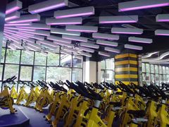 -金吉鸟健身游泳