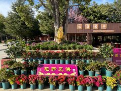 -崇圣寺三塔文化旅游区