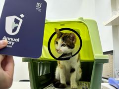 -拜鲁耶动物诊疗中心·宠家动物医院